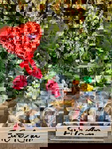 Cesta De Café Da Manhã Completa