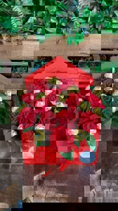 Box Envelope Com Rosas E Ferrero Rocher