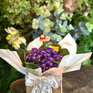Box violeta
