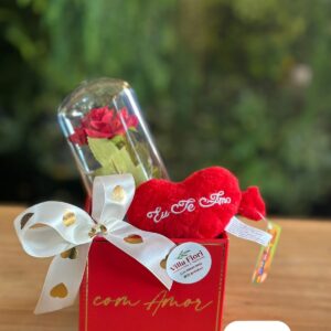Box com Rosa Preservada e Pelúcia